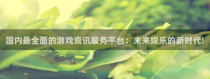 星欧娱乐集团：国内最全面的游戏资讯服务平台：未来娱乐的新时代