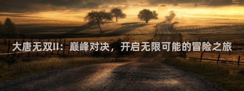 星欧娱乐官方平台：大唐无双II：巅峰对决，开启无限可能的冒险