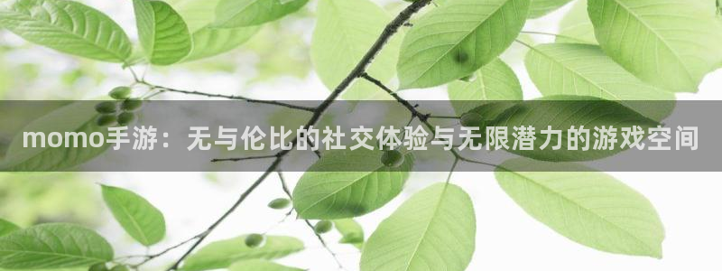星欧娱乐平台官网注册：momo手游：无与伦比的社交体验与无限