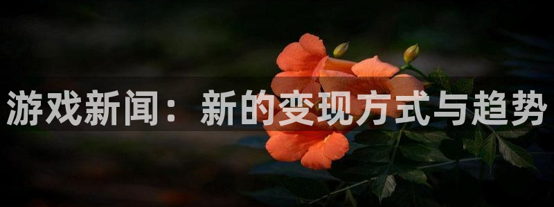 星欧娱乐平台登录线路：游戏新闻：新的变现方式与趋势