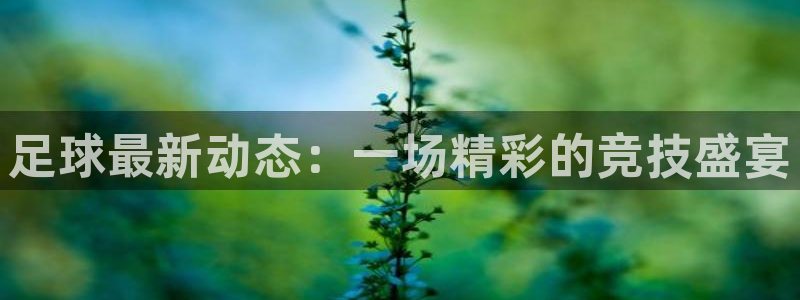 星欧娱乐2登录：足球最新动态：一场精彩的竞技盛宴