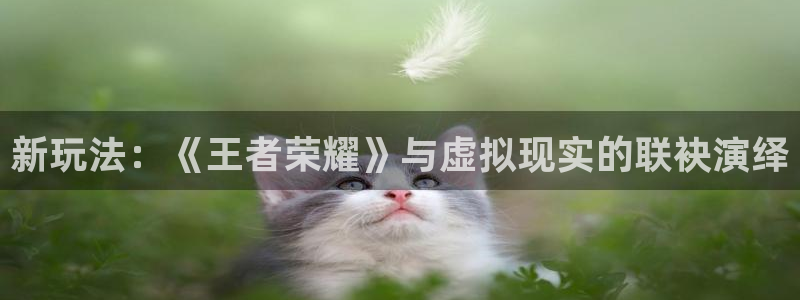 星欧娱乐平台登录入口：新玩法：《王者荣耀》与虚拟现实的联袂演