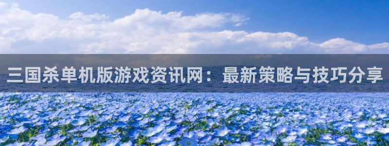 星欧娱乐在线登录：三国杀单机版游戏资讯网：最新策略与技巧分享