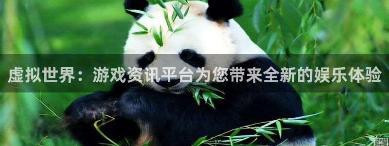 星欧娱乐2首页登录：虚拟世界：游戏资讯平台为您带来全新的娱乐